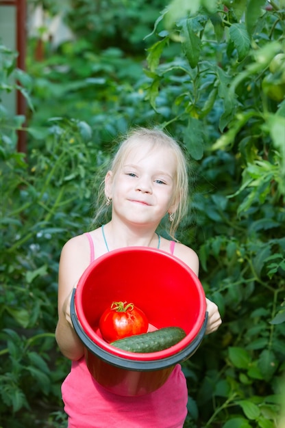 Klein meisje in een kas tomatenoogsten