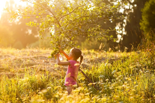 Klein meisje in roze jurk die verse appels plukt die op de appelboom in het zomerveld groeien