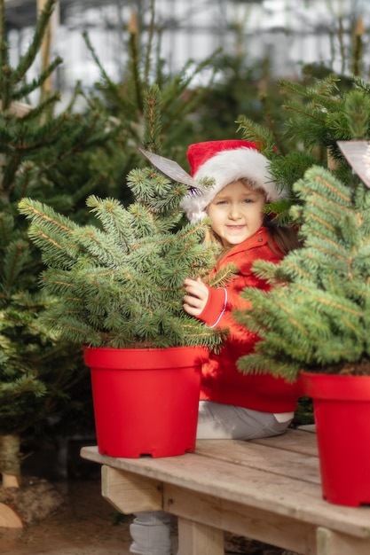 Klein meisje kiest een kerstboom op de markt.