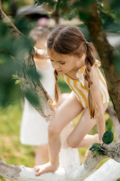 Klein meisje klimt boom in zomertuin activiteit Klein meisje op boomtak jeugd Vakantie activiteit levensstijl