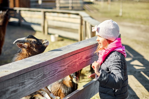 Klein meisje krabt aan het hoofd van een geit, Dierenverzorgingsboerderij