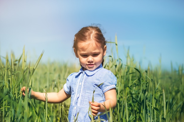 Klein meisje onderzoekt planten in het veld