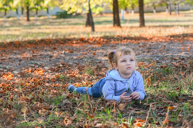 Klein meisje op een wandeling in de herfst in het park