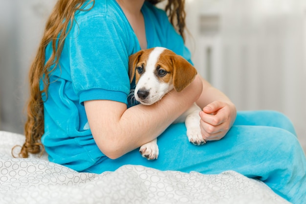 Klein meisje speelt met puppy jack russell