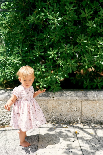 Klein meisje staat op een tegel in de buurt van een groene magnoliastruik