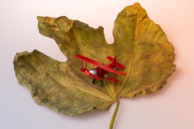 Klein modelvliegtuig op een droog blad