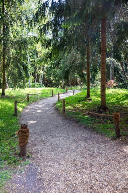 Klein pad in een groen park