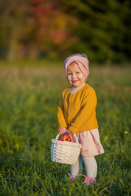 Klein schattig meisje wandelingen in de herfsttuin, houdt een mand met rode appels. Portret van een gelukkig meisje in heldere herfstkleren. Warme en heldere herfst.