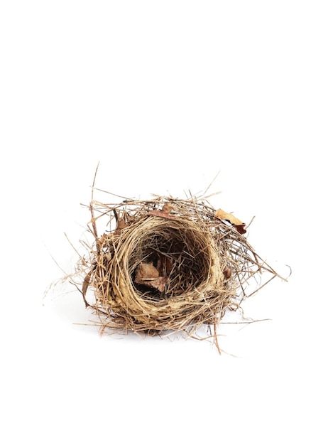 klein vogelnest