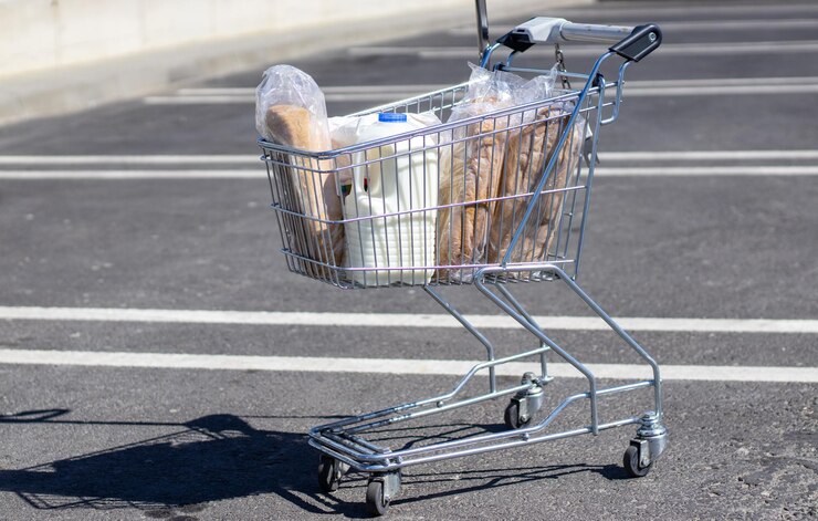 klein winkelwagentje voor kinderen vol boodschappen producten opgewonden jongen en een karretje vol eten