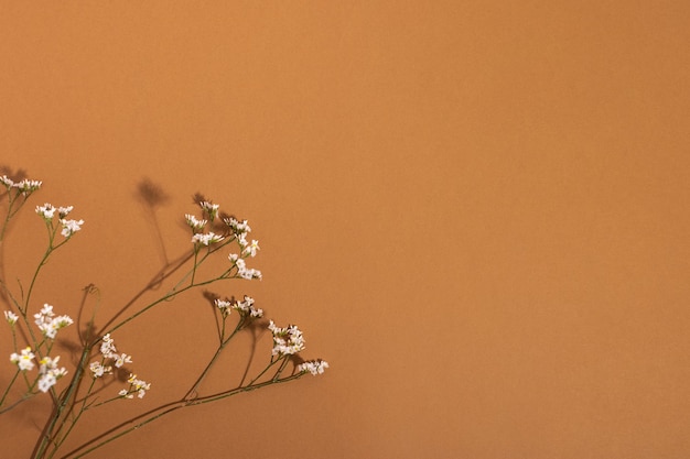 Klein wit bloemdetail van een gipsofila-bloem op bruine achtergrond met kopieerruimte voor uw ontwerp...