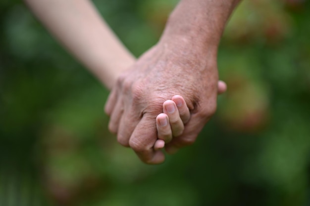 Kleindochter en grootvader hand in hand