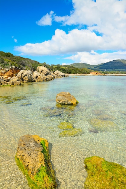 Kleine baai in de kust van Alghero Sardinië