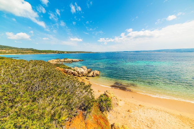 Kleine baai in de kust van Alghero Sardinië