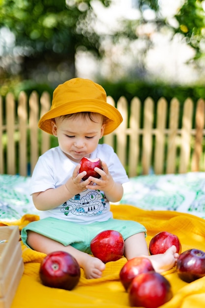 Kleine baby eet appel Leuke jongen met appels in de tuin Schattig kind met rode appels