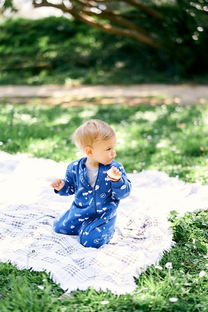 Kleine baby in blauwe overall zit op zijn knieën op een geruite deken op een groen gazon