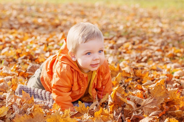 Kleine baby in zonnige herfst park