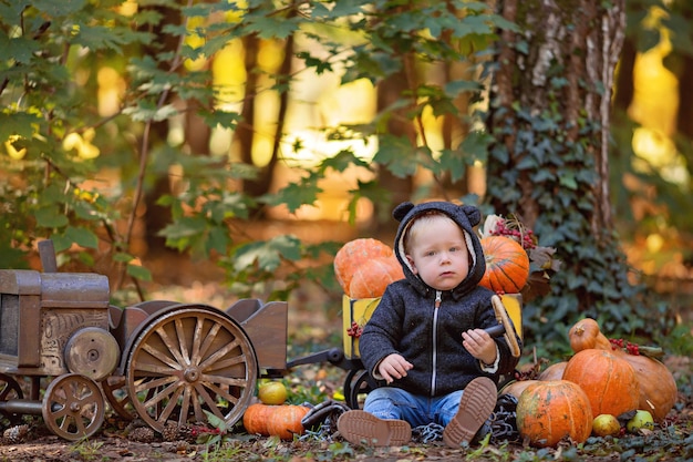 Kleine babyjongen in een tractor met een kar met pompoenen, viburnum, lijsterbes, appels