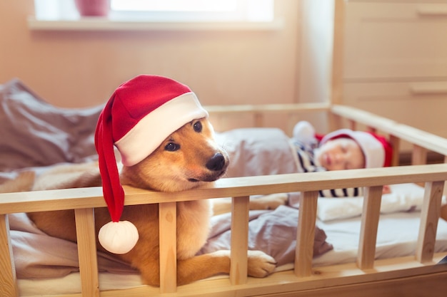 Kleine babyjongen slapen met rode hond liggend op het bed in rode kerstmuts