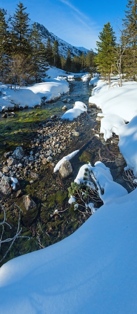 Foto kleine bergbeek met sneeuwjacht en sparren.