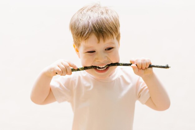 Kleine blanke jongen speelt buiten in het park met een stok van een boom die erin bijt