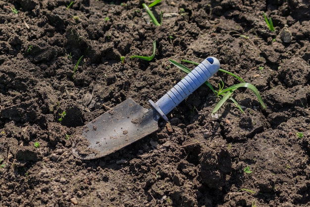 Kleine blauwe handschop op de grond