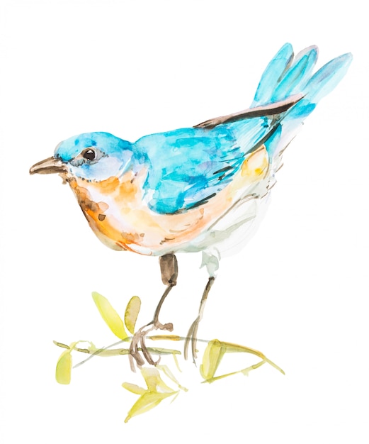 Kleine blauwe vogel, aquarel hand schilderij