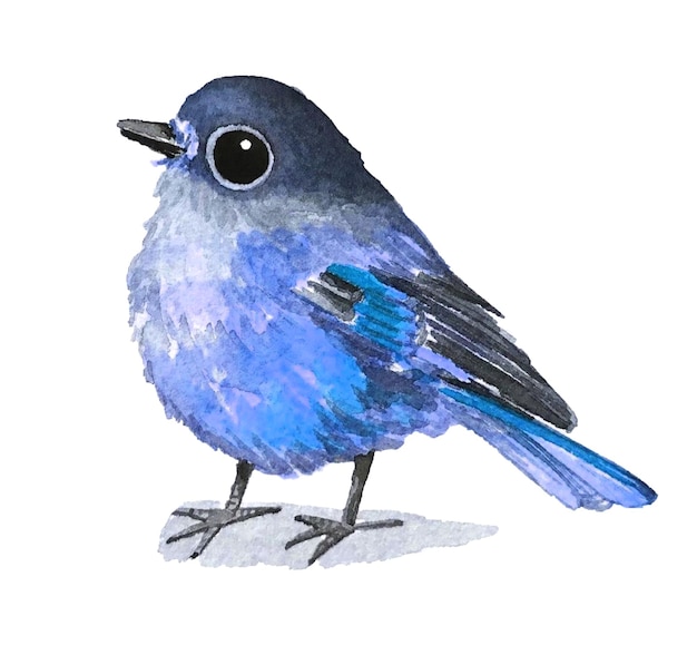 kleine blauwe vogel aquarel illustratie