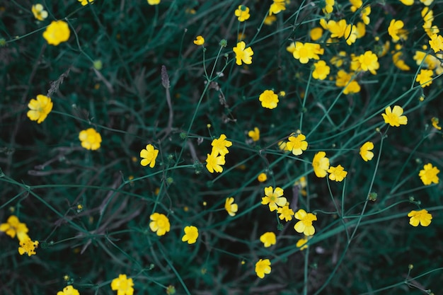 Kleine bloemen op een groene achtergrond