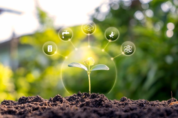 kleine boom met groene bladeren die natuurlijk groeien en pictogrammen voor plantengroei