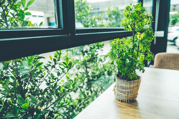 Foto kleine boom op het houten bureau in uitstekende de kleurentoon van de koffiewinkel