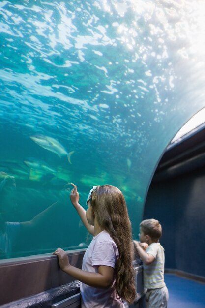 Kleine broers en zussen kijken naar aquarium