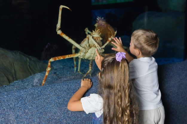 Kleine broers en zussen kijken naar aquarium