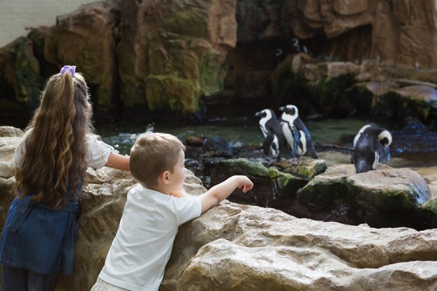 Kleine broers en zussen kijken naar pinguïns