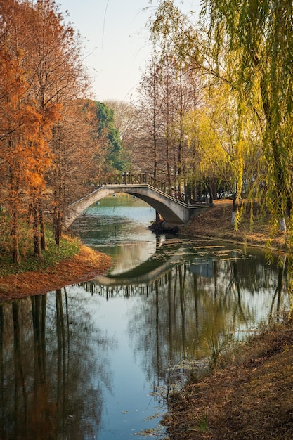 Foto kleine brug in een mooi park.