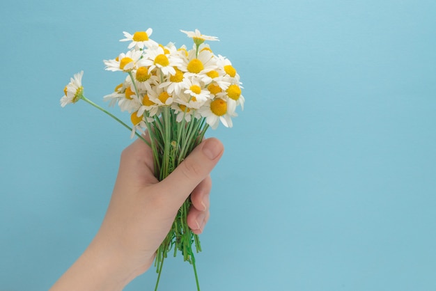 Kleine Daisy in de hand van de vrouw