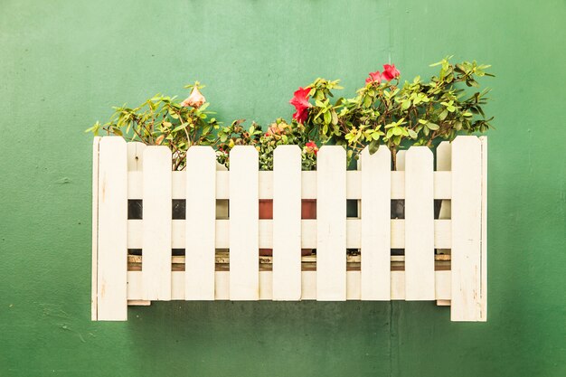 Kleine decorplant in pot met groene muur