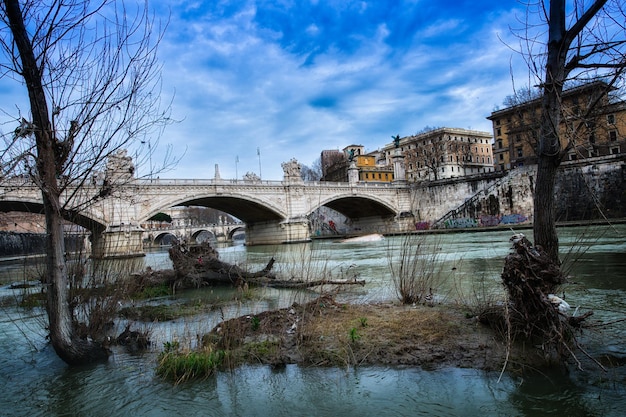 Kleine eilandjes en planten in de rivier de Tiber in Rome