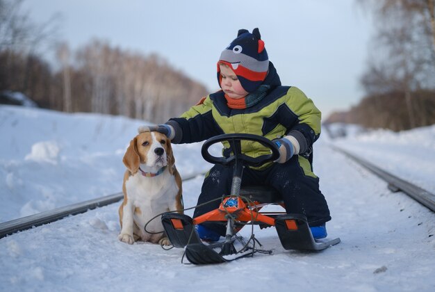 Kleine Europese jongen aaien hond zittend op een slee in de winter tijdens het wandelen