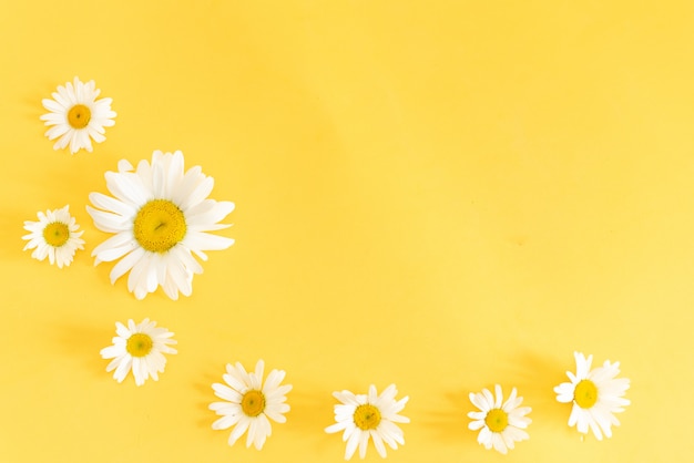 Kleine fles cosmetische kamilleolie en houten haarkam achtergrond