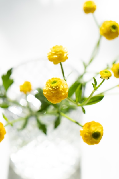 Kleine gele boterbloemen bloemen in glazen vaas