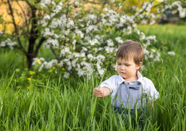 Kleine grappige jongen in een modieuze blauwe overall met expressieve blauwe ogen. Schattig lacht en eet vers groen gras in een grote bloeiende tuin in het hoge gras.