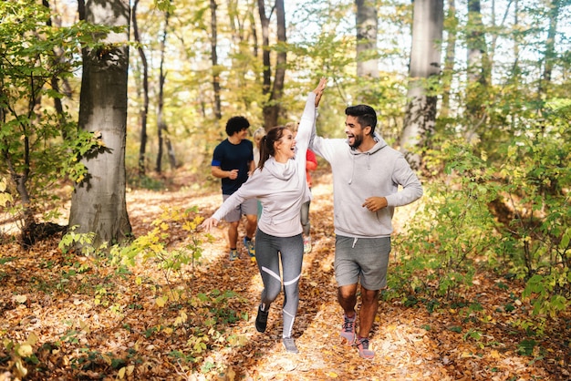 Kleine groep gelukkige vrienden die in het bos in de herfst lopen en high five geven.