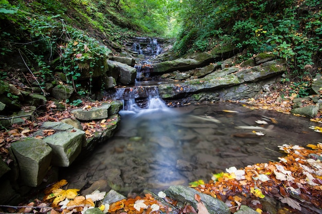 Kleine herfst waterval in de Karpaten, Oekraïne