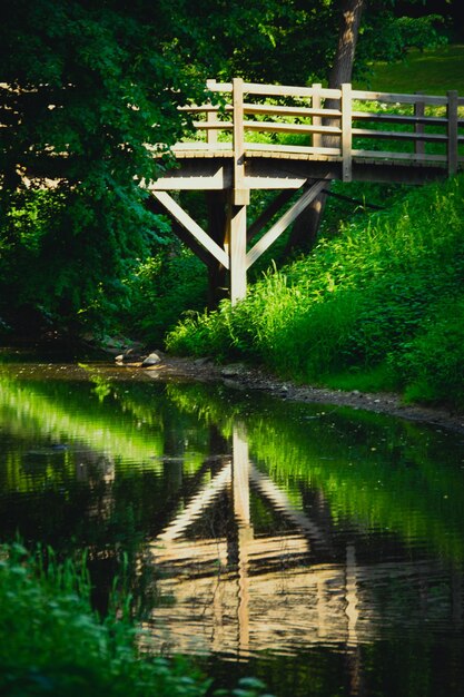 Kleine holzbrucke  mit spiegelung