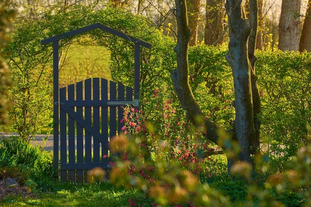 Kleine houten poort op het platteland Weelderige groene tuin bij ingang van privéwoning in de bossen Heiligdom of veilige haven in afgelegen gebied in de natuur Voortuin met bomen, planten en groen gras