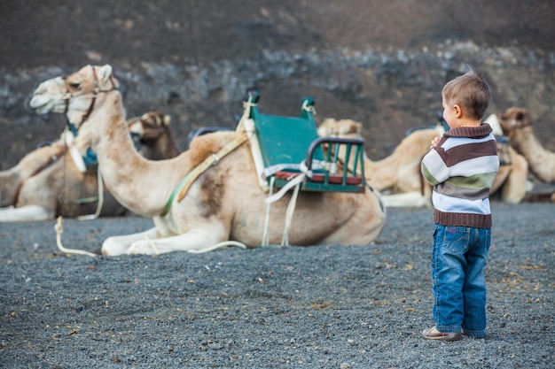 Foto kleine jongen die dromedarissen wacht op toerist