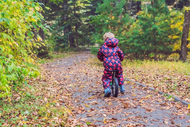 Kleine jongen die plezier heeft op fietsen in het herfstbos. Selectieve focus op jongen