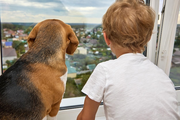 Kleine jongen en een rode huishond kijken door een transparant raam naar de stad Onafscheidelijke vrienden kijken door het raam van hoog achter de zwevende wolken