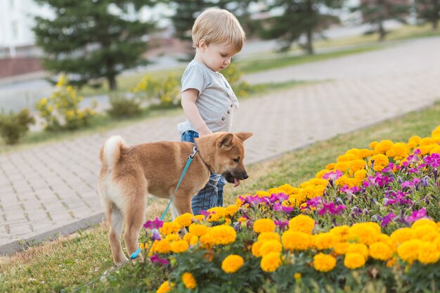 Kleine jongen en rode shiba inu-puppy die in de zomer buiten spelen